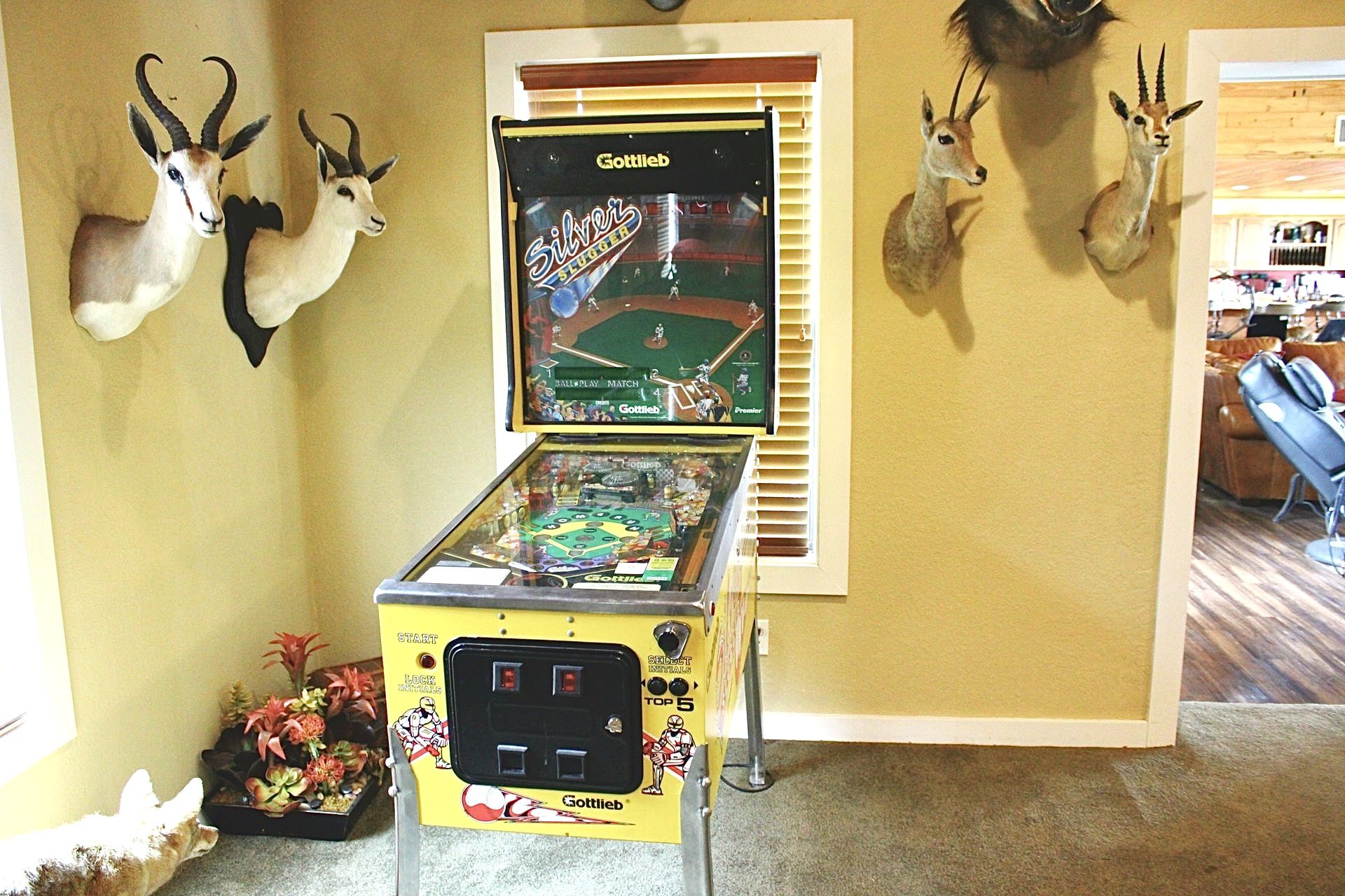 Lodge amenity