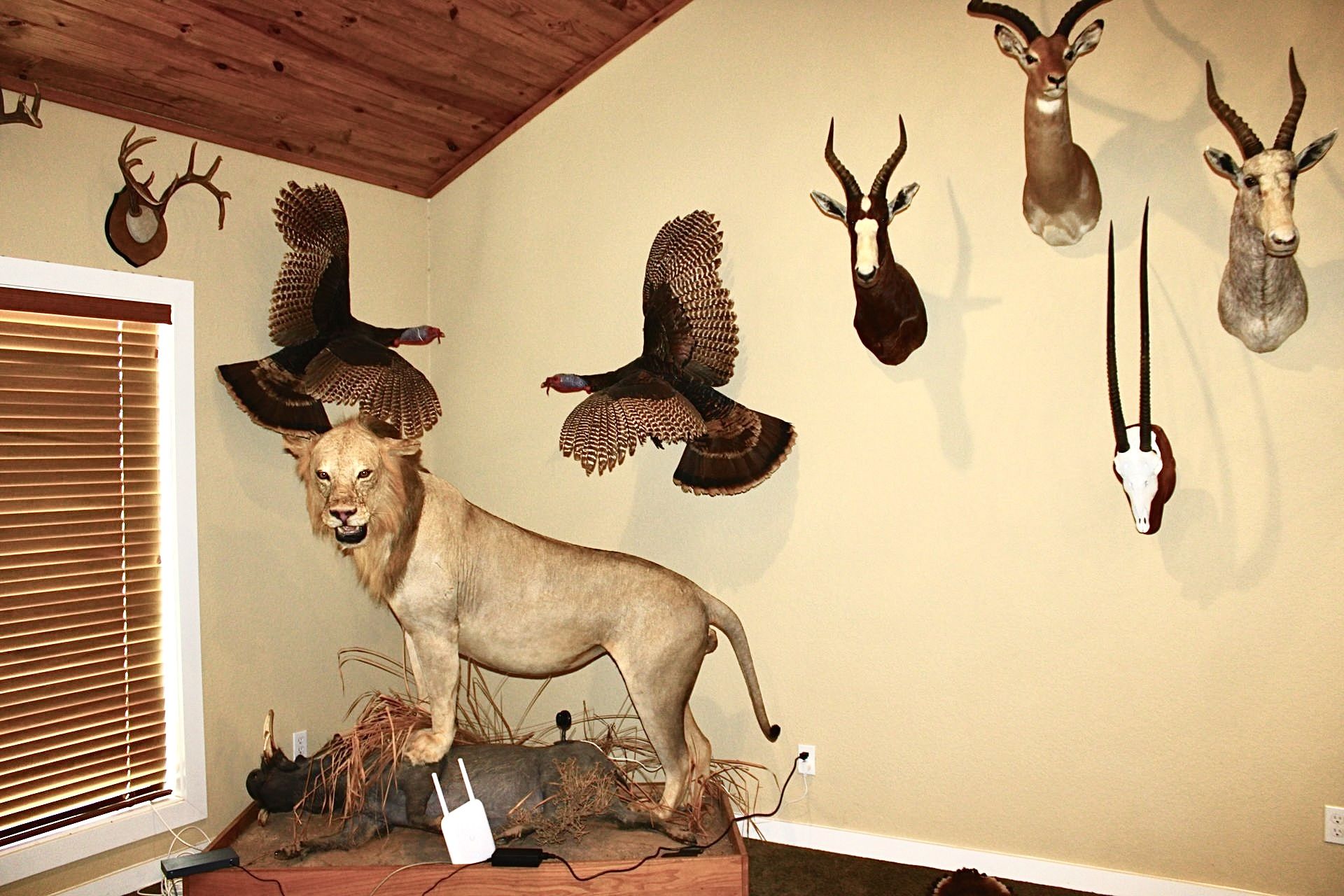 Lodge