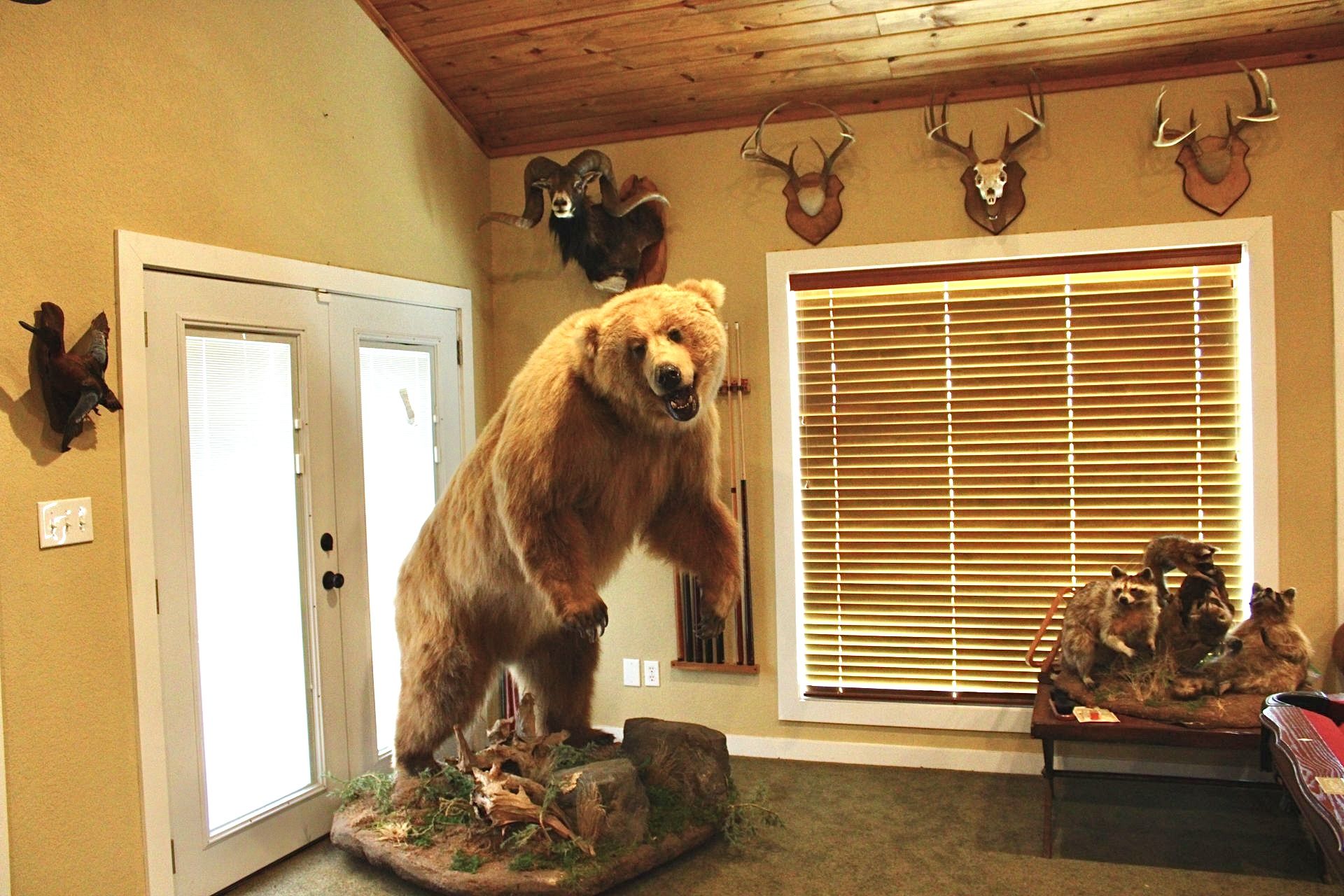 Lodge