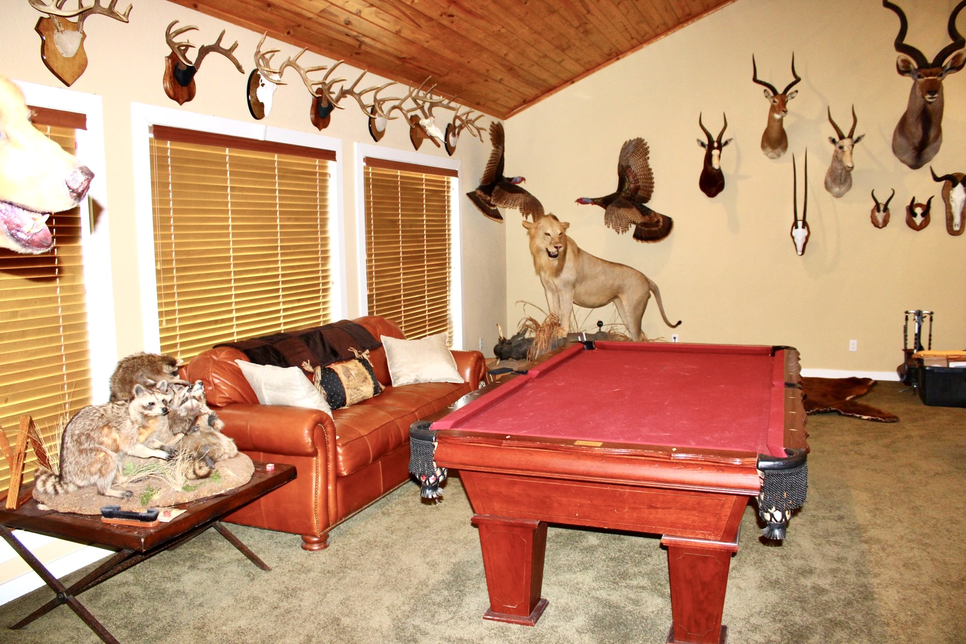 Lodge