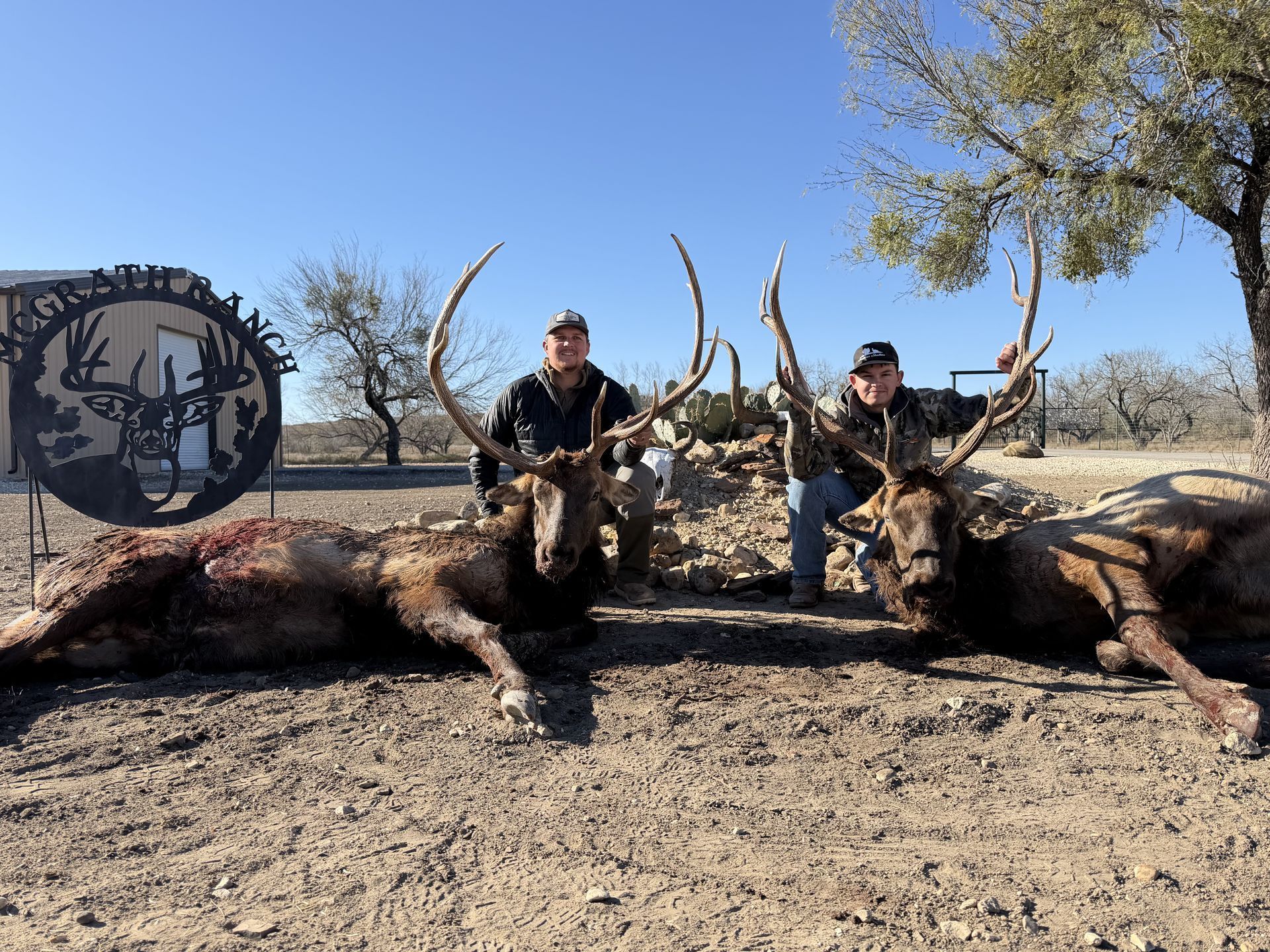Trophy Hunt
