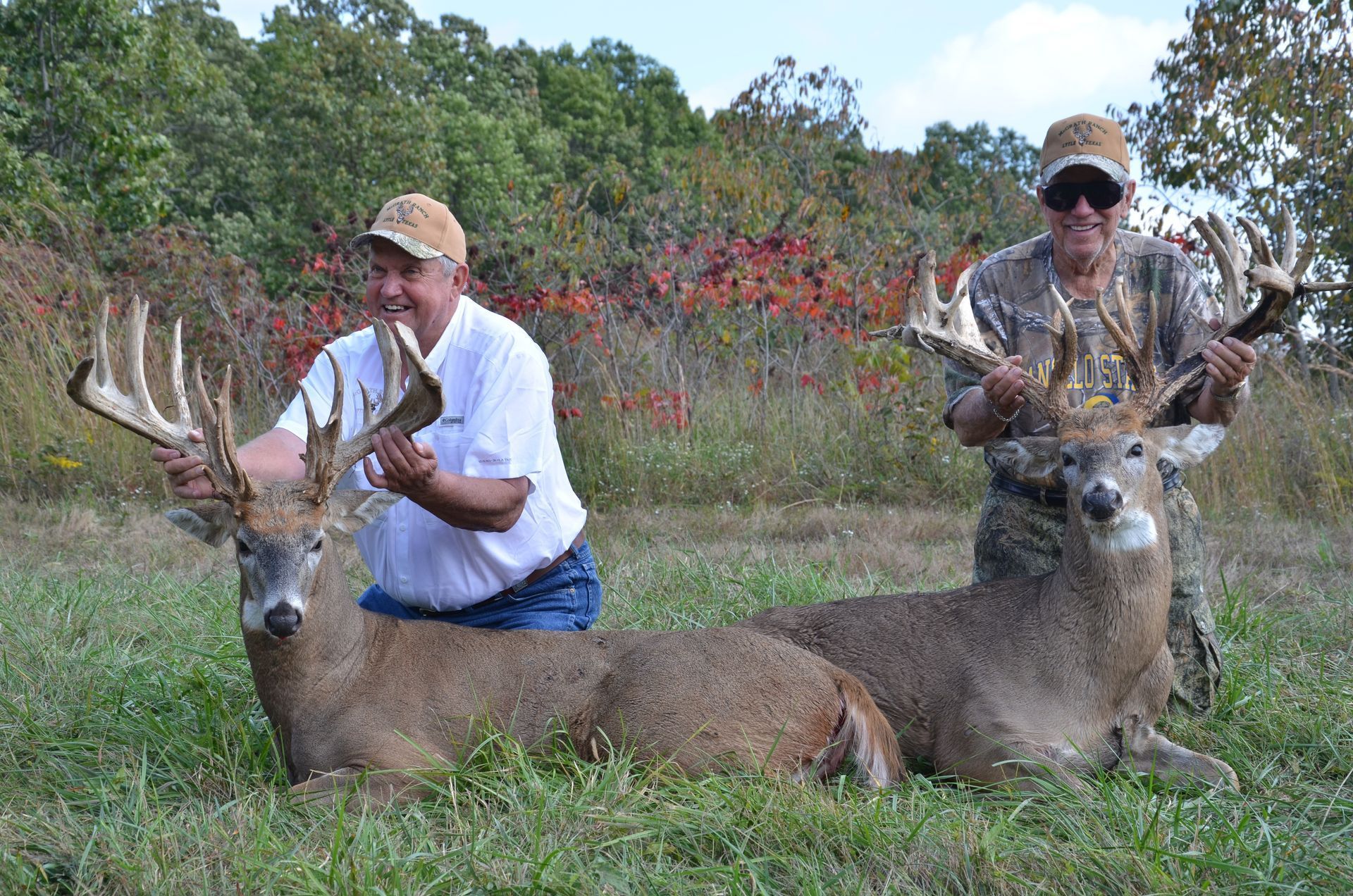 Two Whitetail Bucks